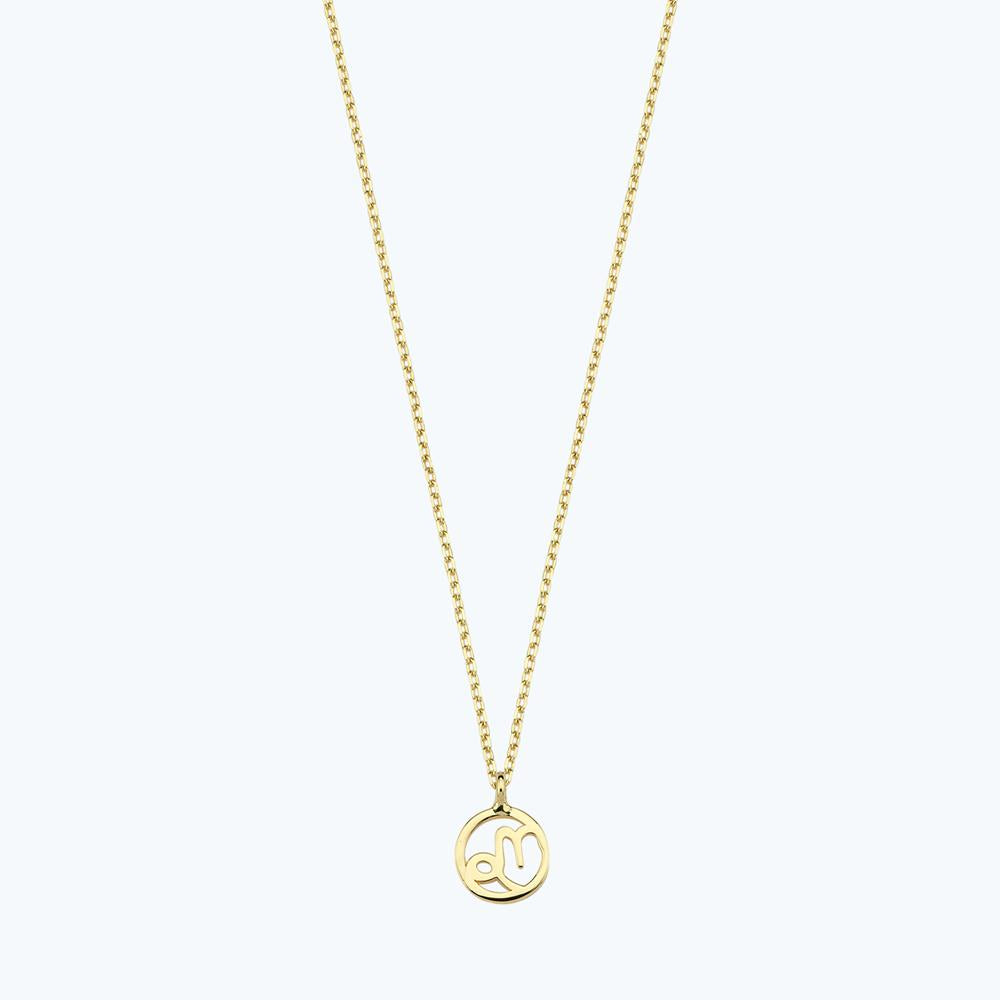 Zodiac Sign Capricorn Gold Necklace